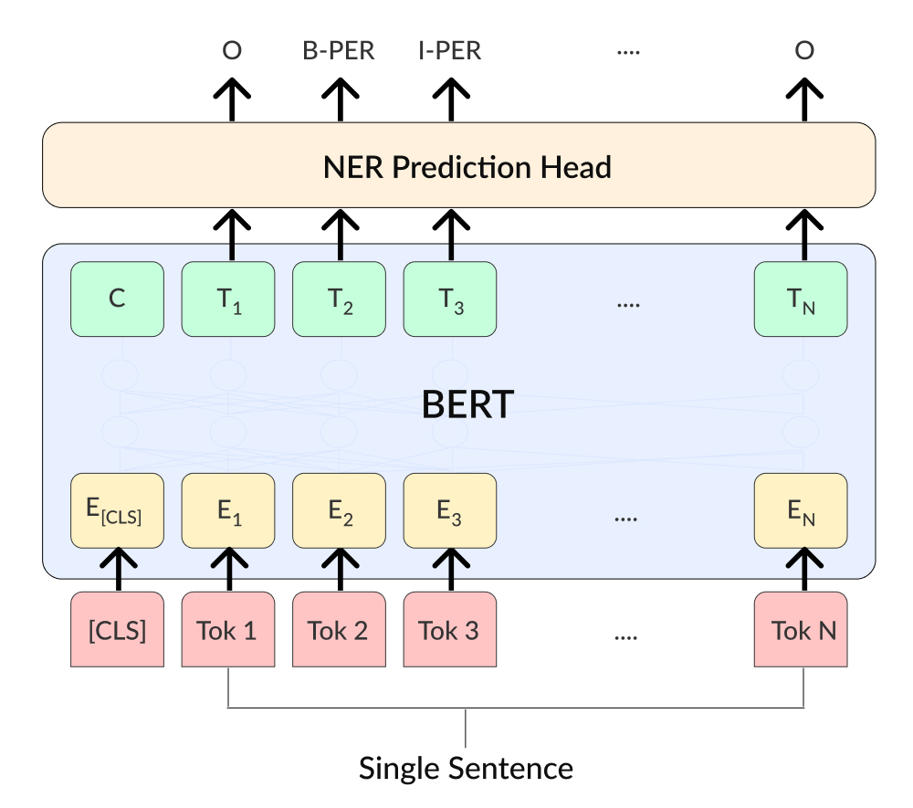 Fine-tuning BERT models for NER