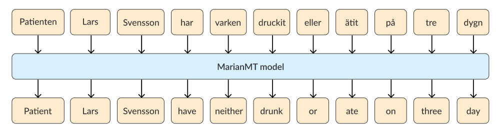 Word-for-word translation